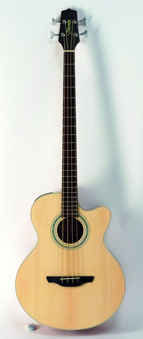 GIT291revacbassacbass6.jpg